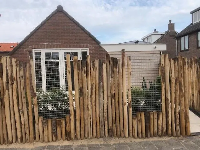 Dune Vieuw Zandvoort